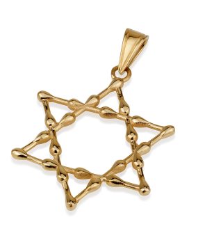14k Gold Star of David Pendant