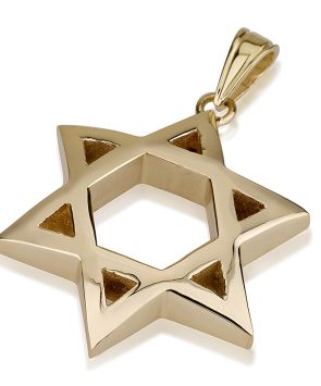 14K Gold Concave Star of David Pendant