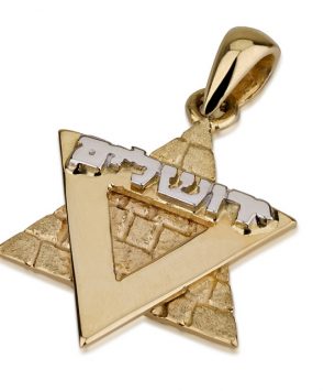 14K Gold Star of David Pendant with Old Jerusalem Motif