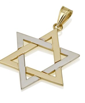 Two Tone 14K Gold Star of David Pendant