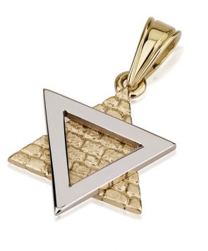 14K Gold Star of David Pendant with Western Wall  Motif