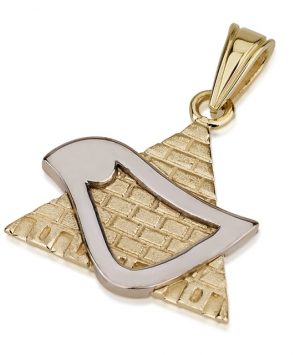 14K Gold Star of David Dove Pendant