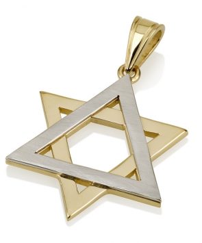 Two Tone 14K Gold Star of David Pendant