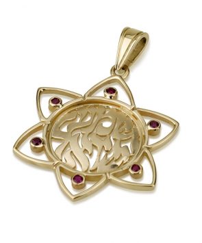 14K Gold Star of David Pendant with Rubies