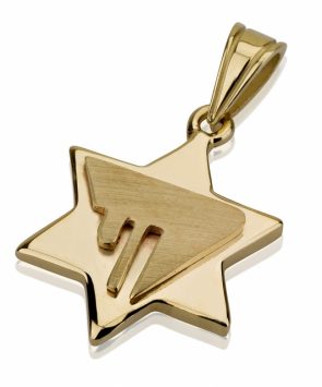 14K Gold Star of David Pendant with chai