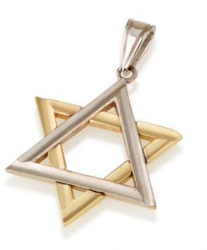 14K white & yellow Gold Star of David