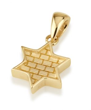 14k Gold Western Wall Star of David Pendant