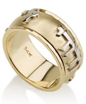 14K Gold Ani Ledodi classic spinning Ring