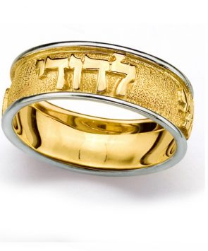 14K Gold Ani Ledodi Ring with rough background