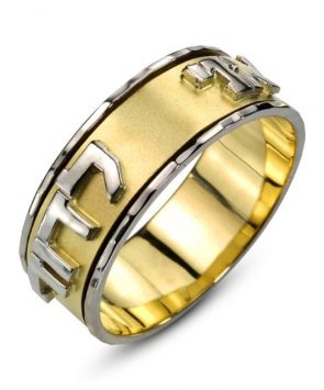 14K Gold Layered Spining Ring Ani Ledodi Ring