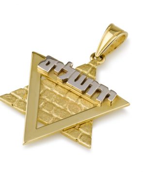 14k Gold Star of David Pendant with old Jerusalem motif