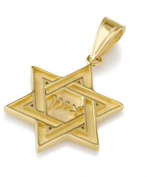 14k Gold Star of David Pendant with Zion