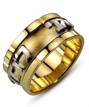 14K Gold Textured Spinning Ring  Ani Ledodi Ring