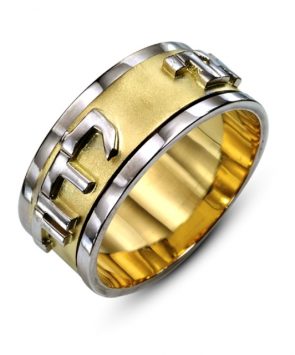 14K Gold Ani Ledodi classic Spinning Ring
