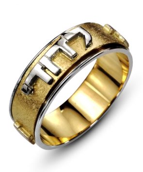 14K Gold Ani Ledodi Spinning Ring