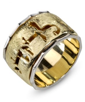 14K Gold Layered Spinnig  Ani Ledodi Ring