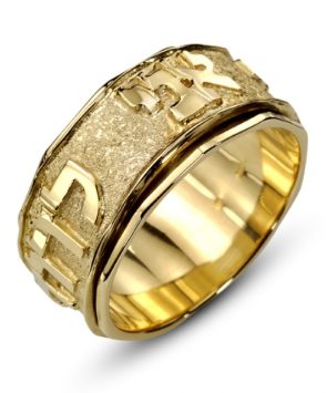 14K Gold Ani Ledodi Spinning  Ring